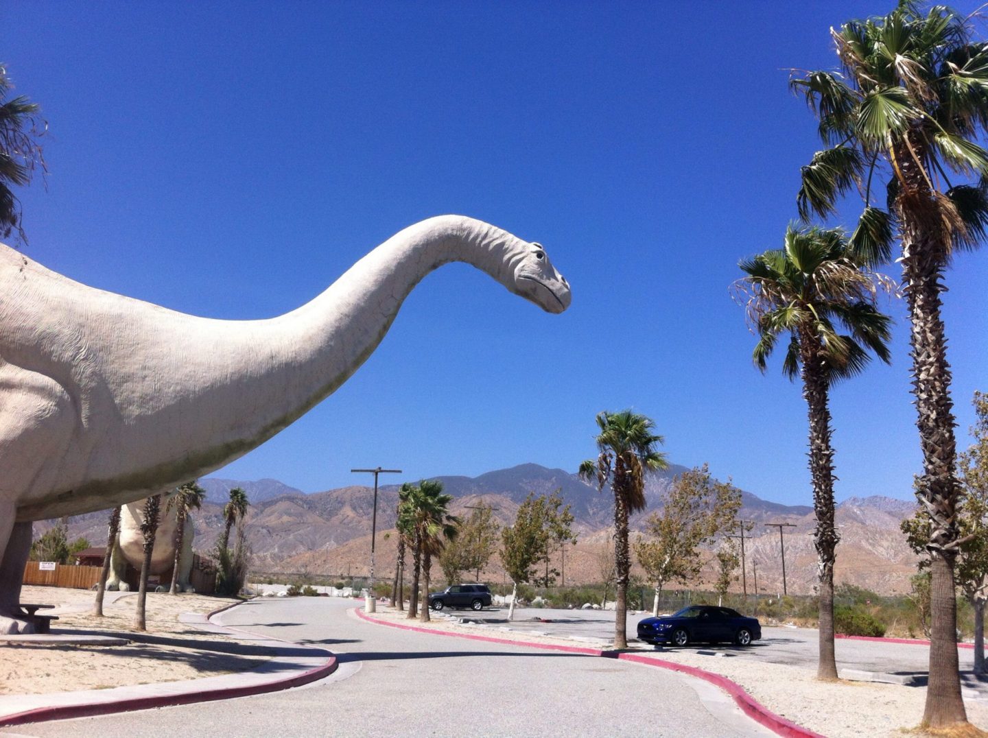 A 2 Week Itinerary To Exploring The West Coast of USA