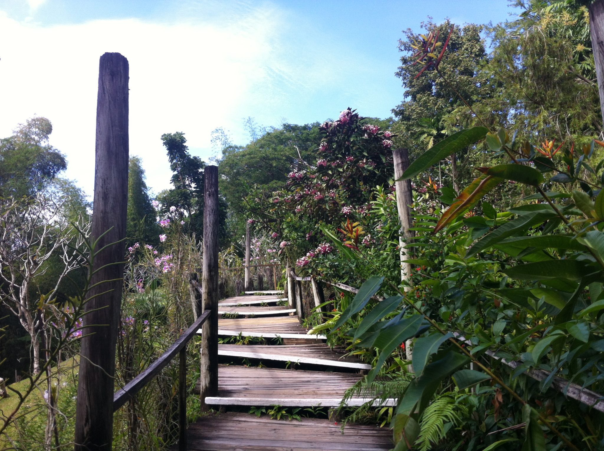 5 places to see in Fiji