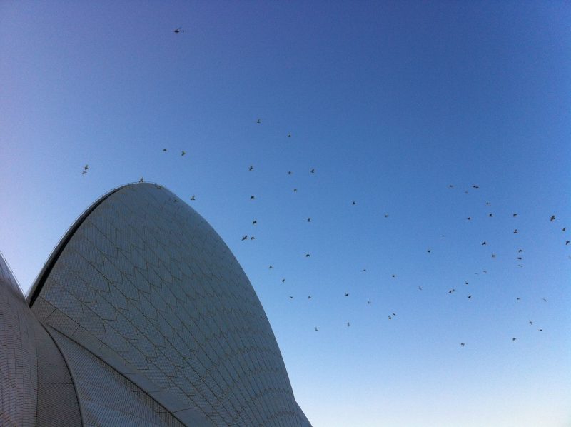 The Best East Coast Australia 2 Week Itinerary: For First Timers