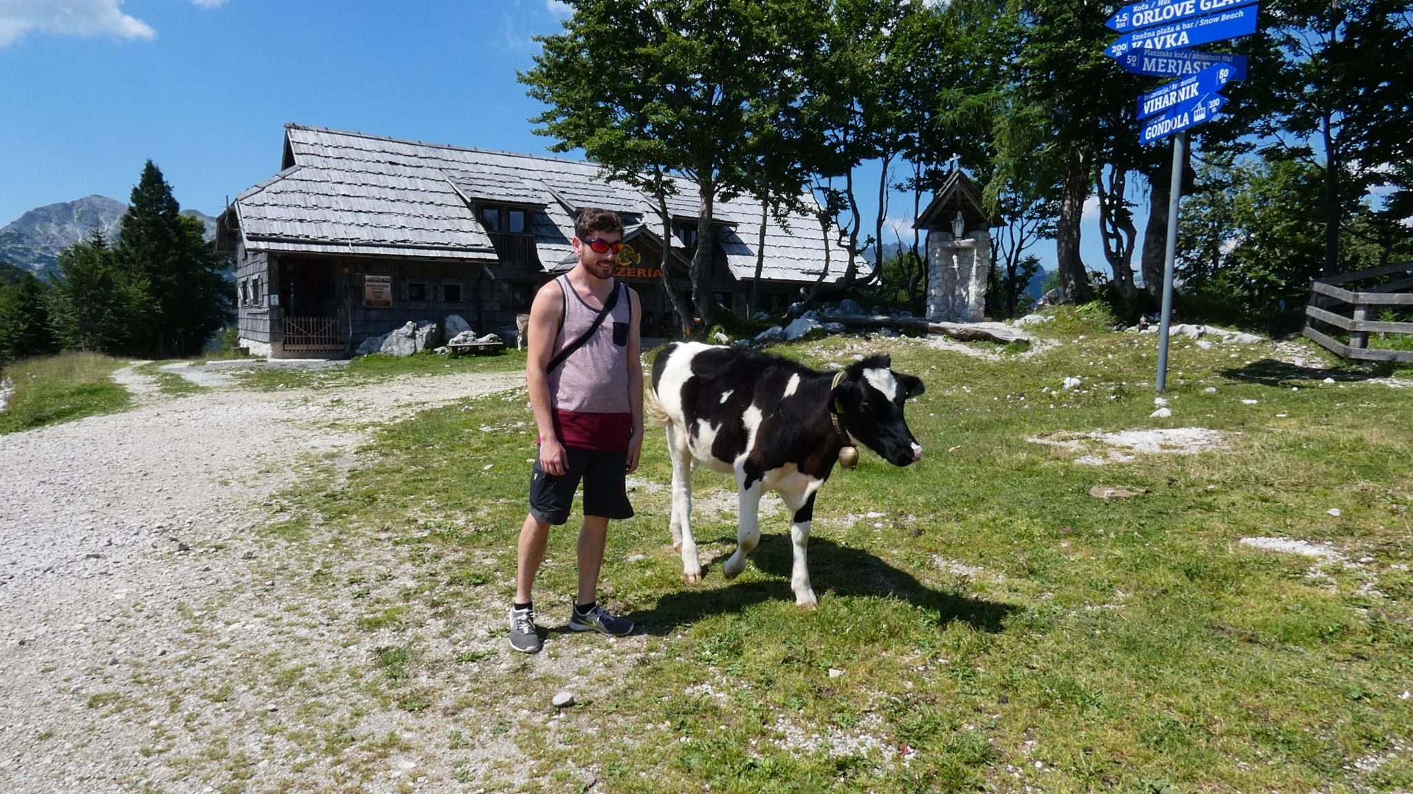 Bled or Bohinj