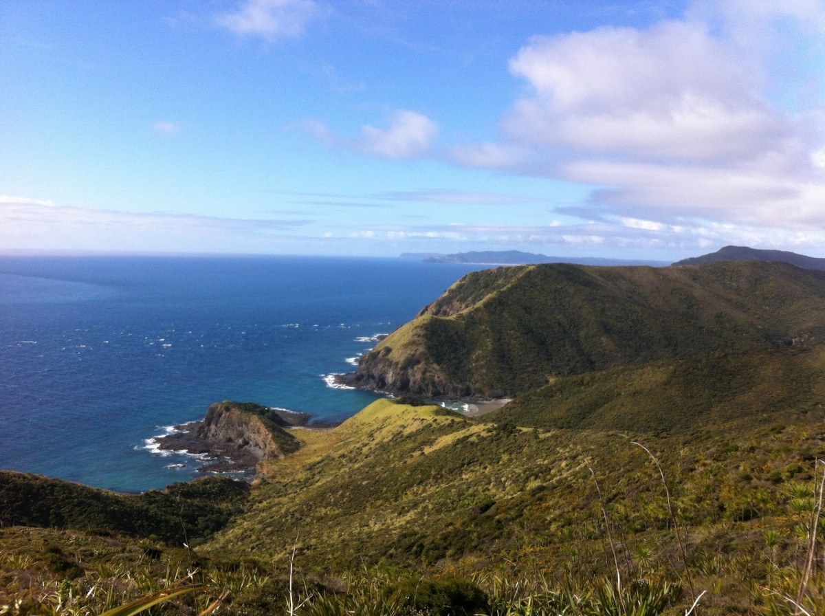 Top 10 must do experiences to have in New Zealand