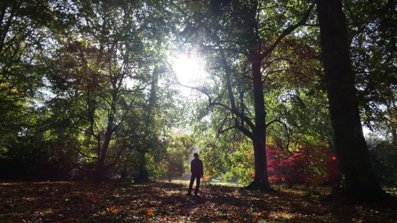 12 Of The Best Circular Walks In The Cotswolds