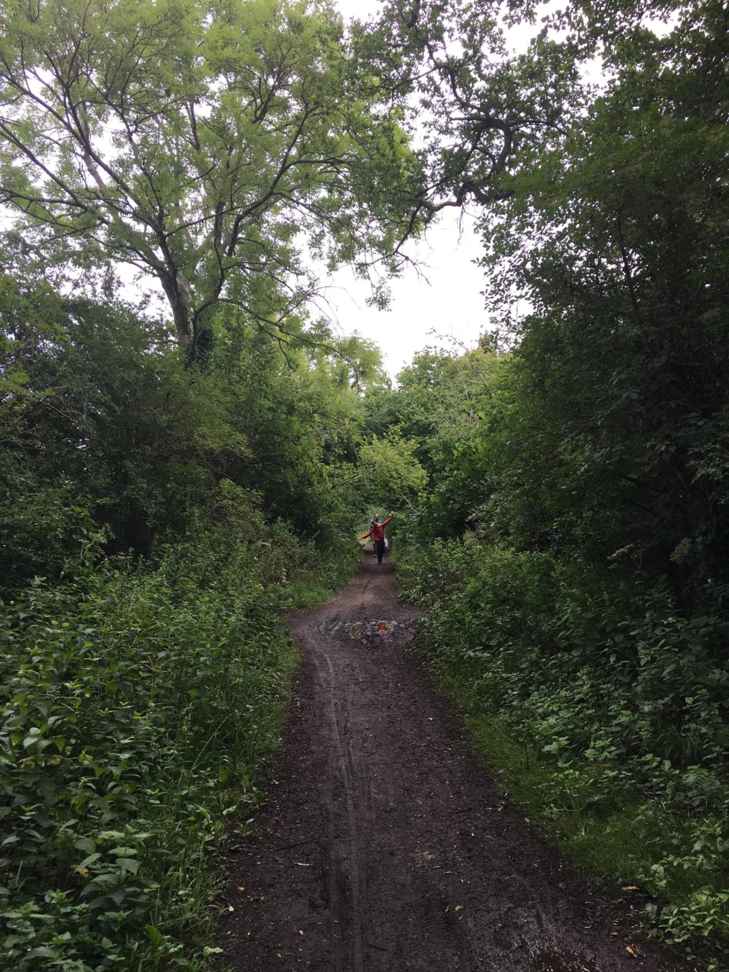 12 of the best circular walks in the Cotswolds • TTT • Travel Blog