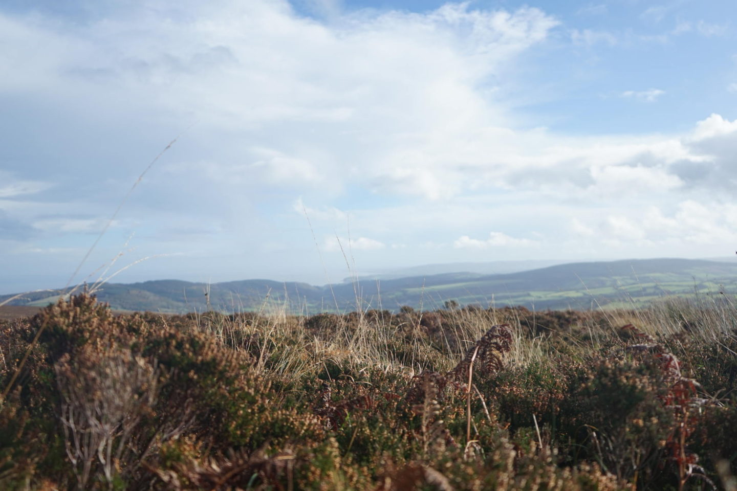 Climb dunkery beacon things to do in exmoor