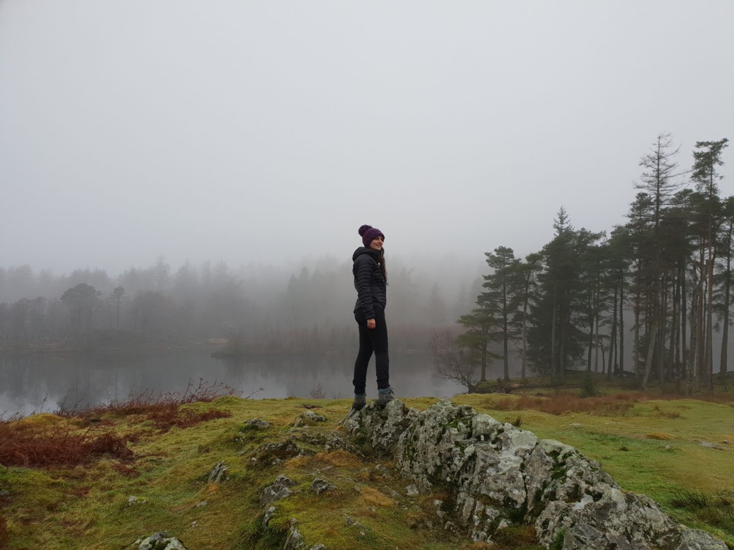 Tarn Hows trail