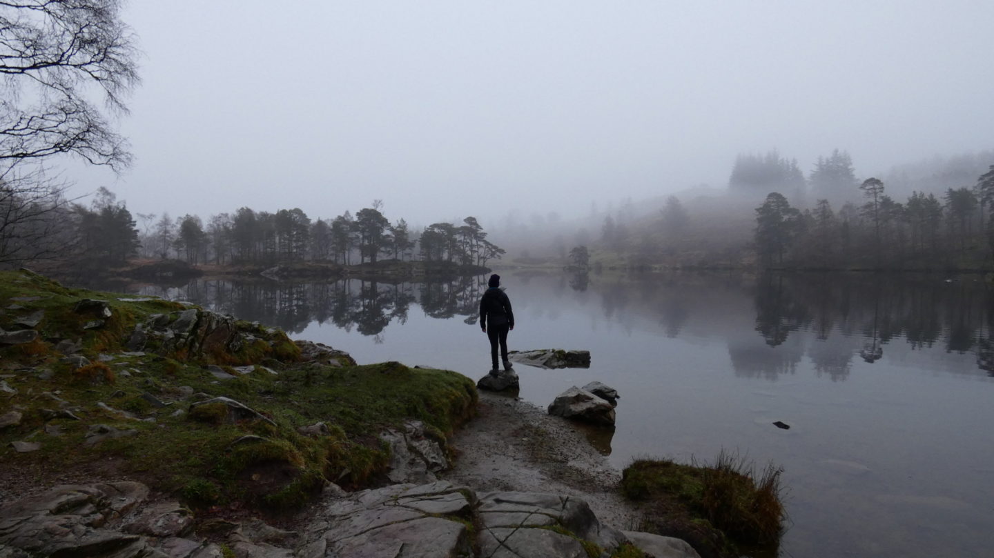 Tarn Hows foggy walk
