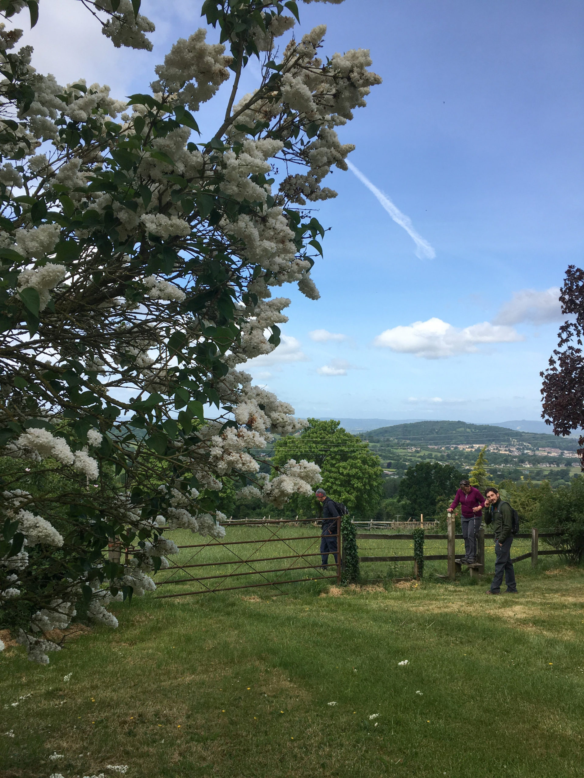 12 of the best circular walks in the Cotswolds [2024] • TTT • Travel Blog
