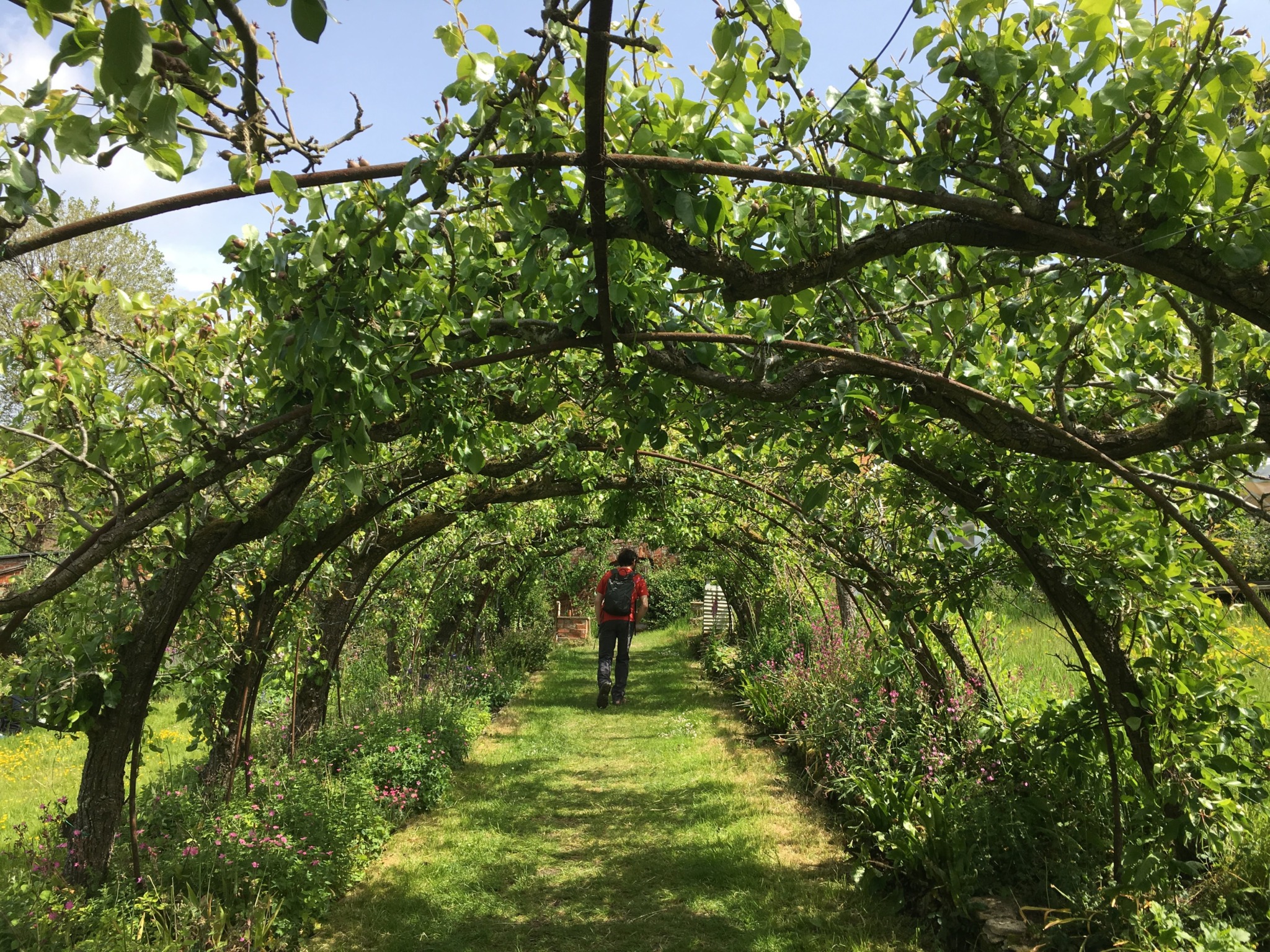 12 of the best circular walks in the Cotswolds [2024] • TTT • Travel Blog