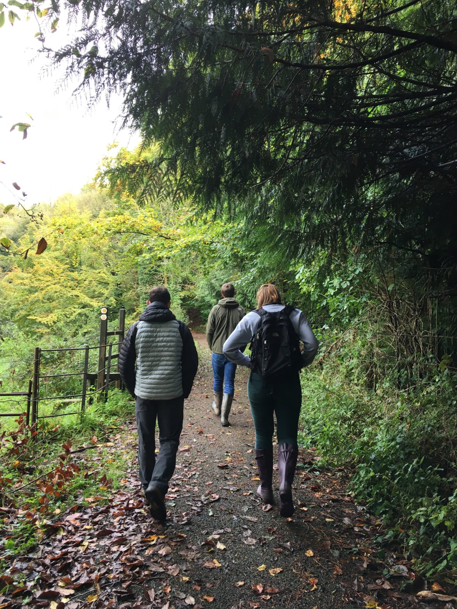 12 of the best circular walks in the Cotswolds • TTT • Travel Blog