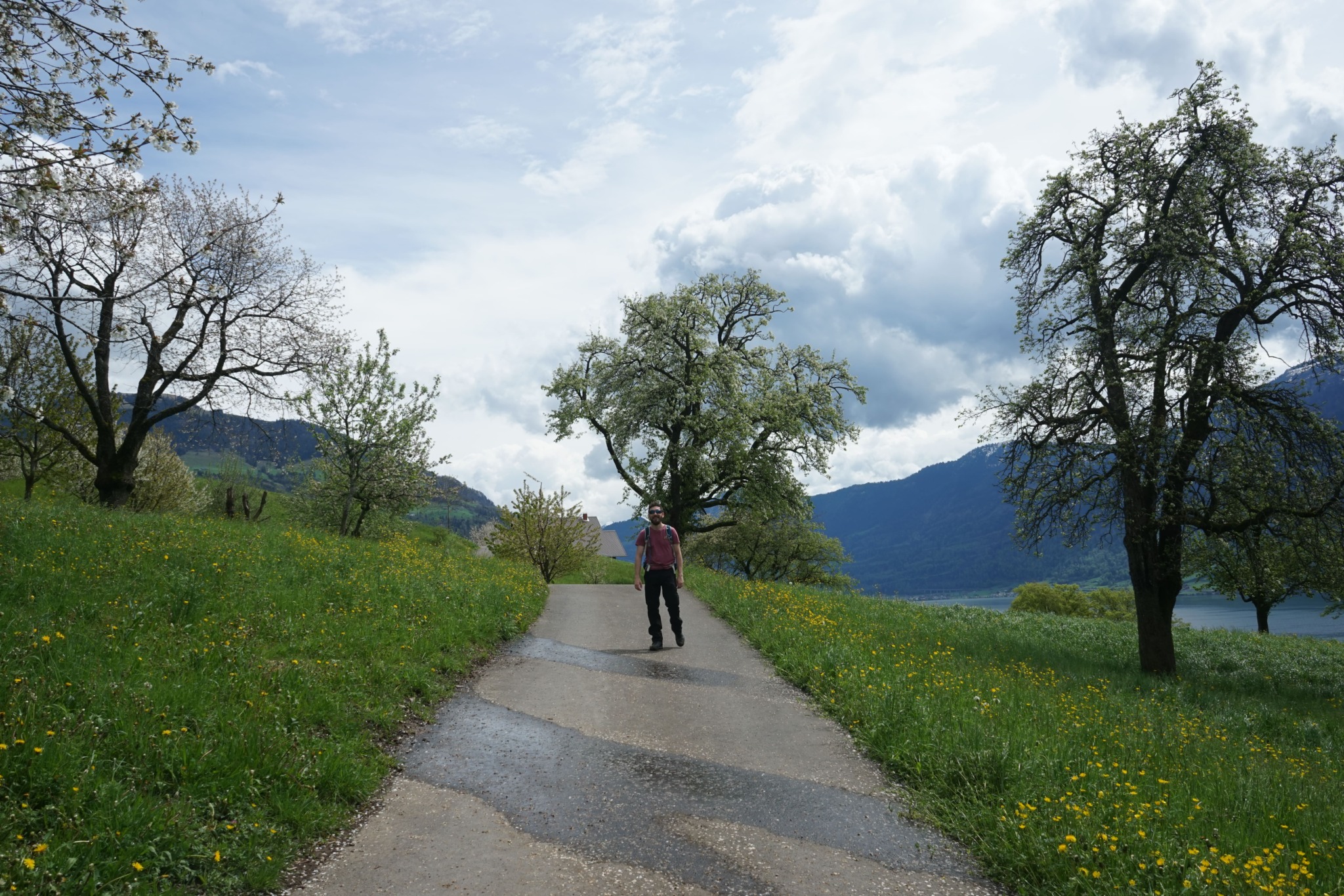 person in orchard in spring in switzerland