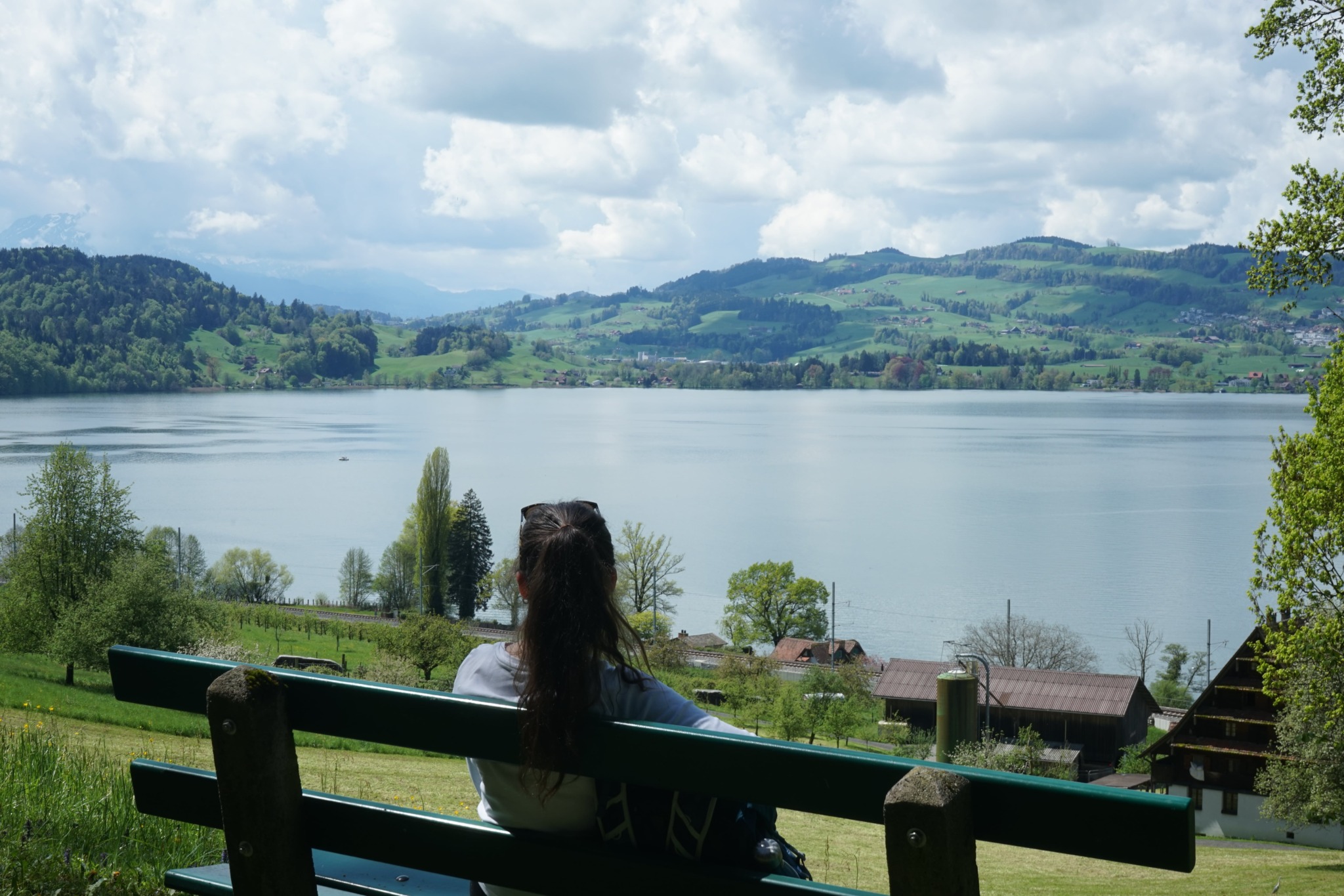 person looking over lake in spring