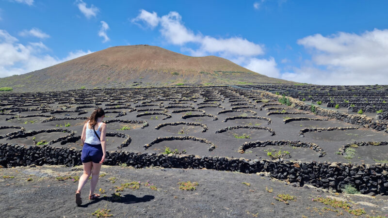 The Best One Day Lanzarote Island Tour