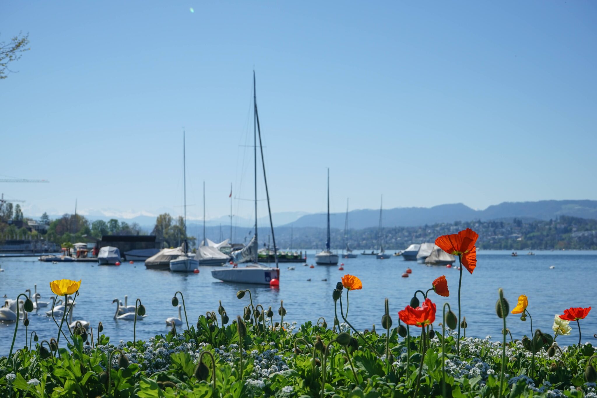 The Swiss Coupon Pass: A Discount Book Perfect For A Swiss Trip